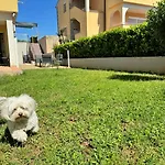 Konukevi Pinta De Sol Čižići