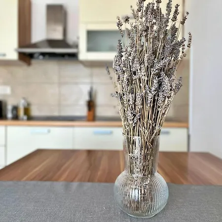 Apartments Pinta De Sol 3*